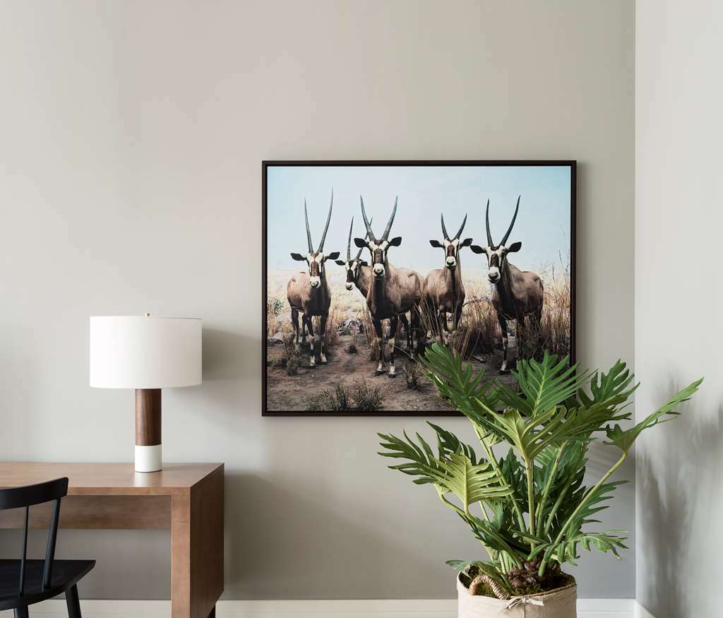 Roost Rittenhouse Филадельфия Номер фото